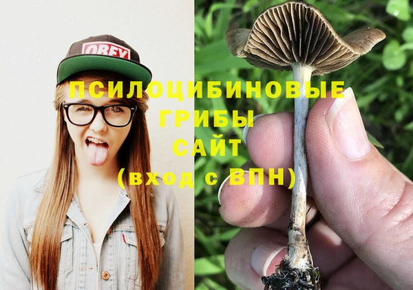 ГАЛЛЮЦИНОГЕННЫЕ ГРИБЫ Бронницы