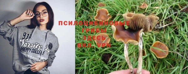 ГАЛЛЮЦИНОГЕННЫЕ ГРИБЫ Бронницы