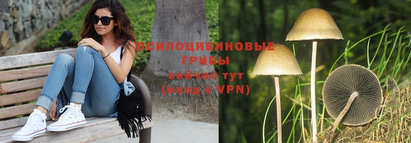 ГАЛЛЮЦИНОГЕННЫЕ ГРИБЫ Бронницы